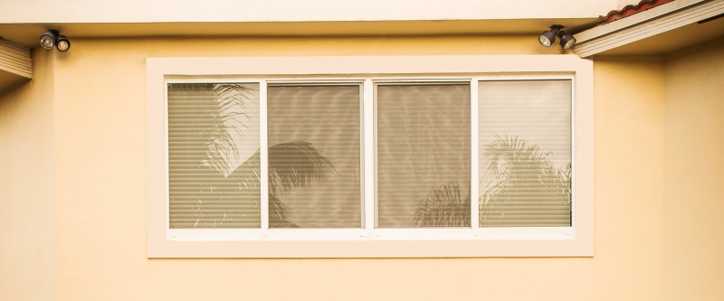 palm window