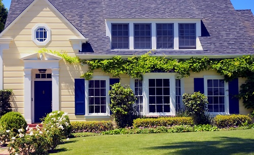 A yellow house and green grass and and vines growing above the front windows. 